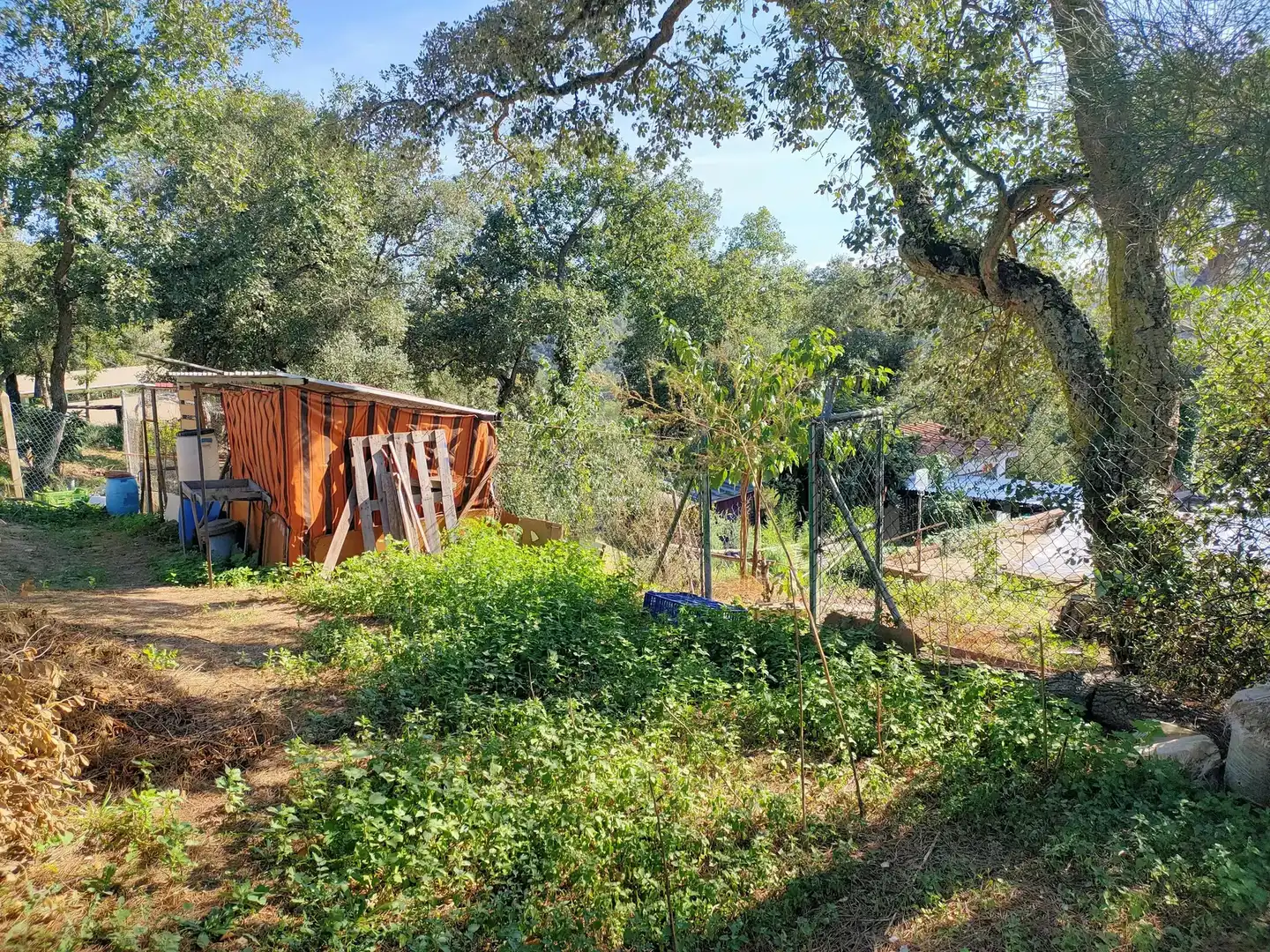 Casa o xalet en venda en Massanes amb Piscina