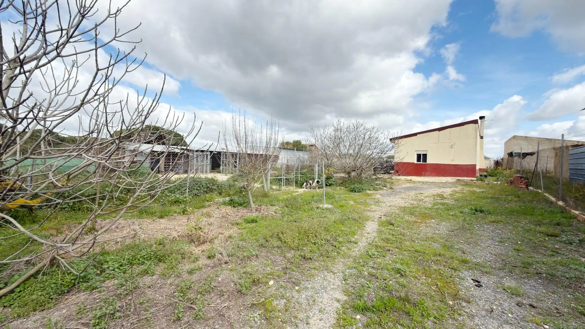 Finca rústica en venta en Punta Umbría
