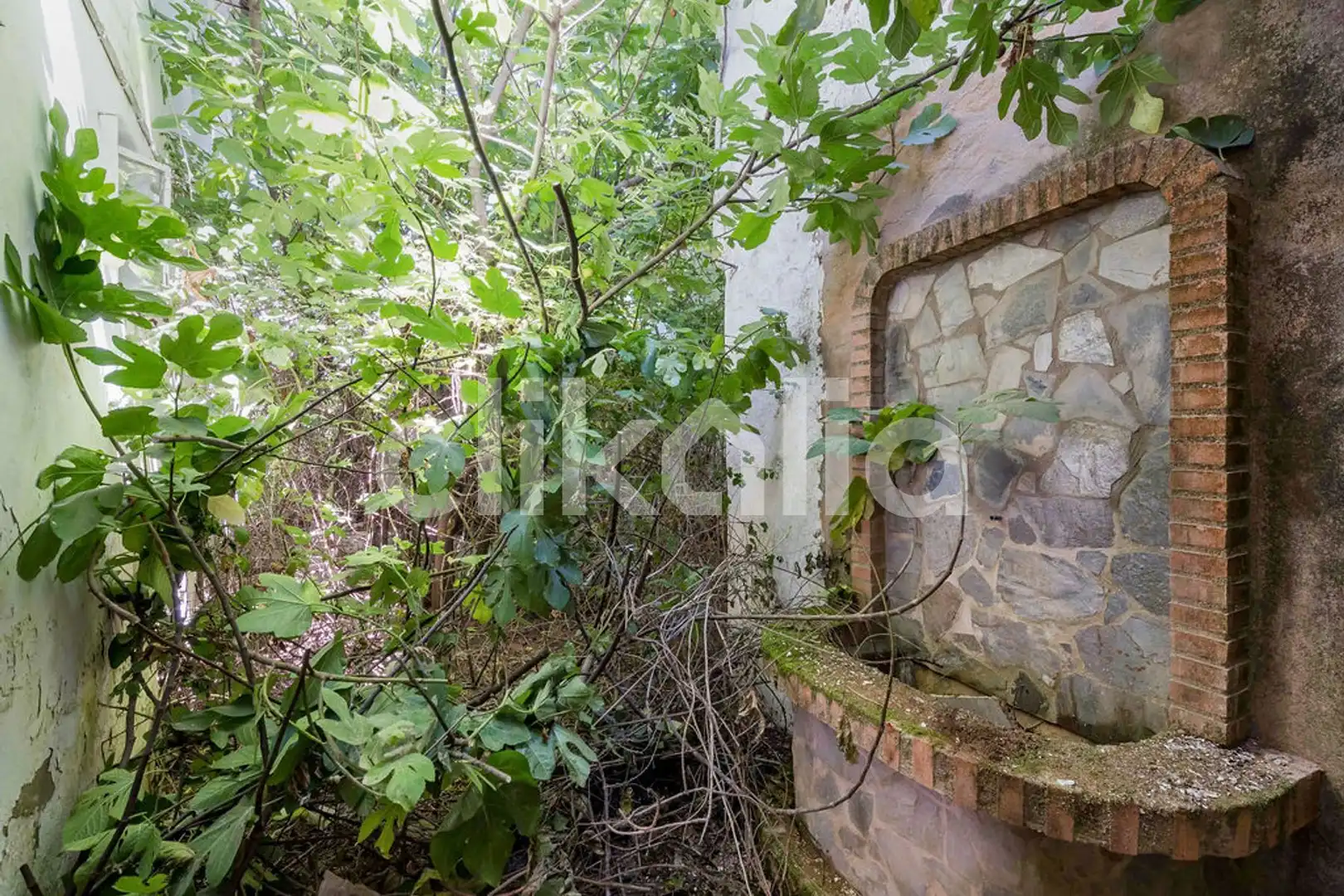 Jardín de Casa o chalet en venta en Jabugo con Terraza