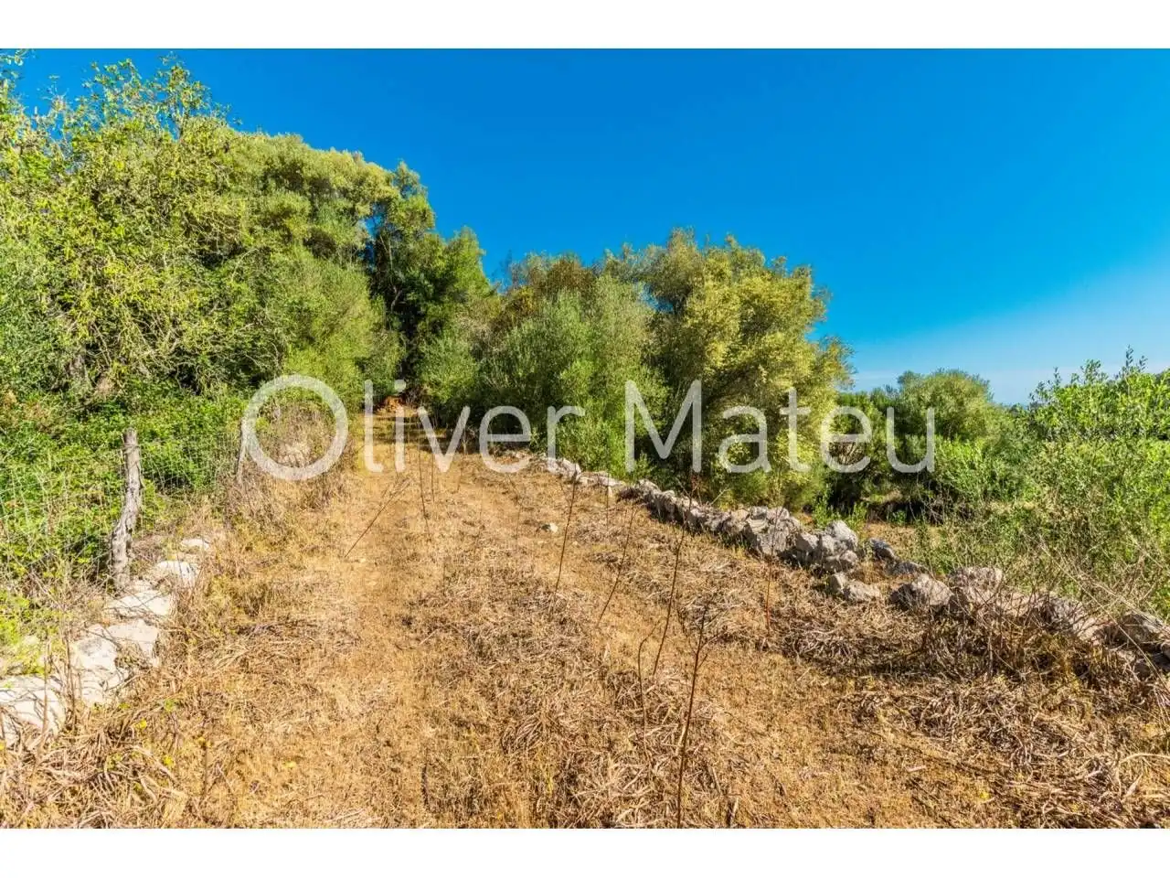 Casa o xalet en venda en Lloret de Vistalegre amb Jardí privat i Terrassa