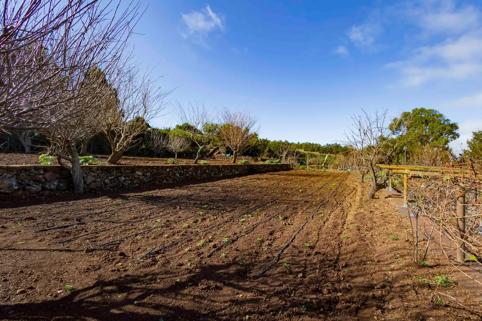 Finca rústica en venda en El Tanque amb Calefacció, Jardí privat i Terrassa
