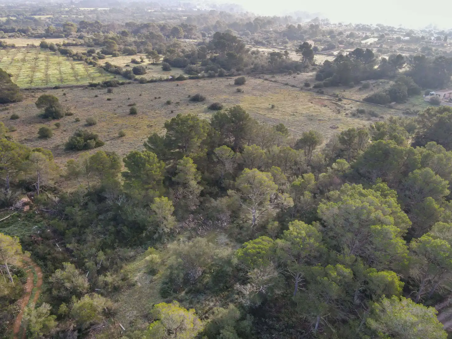 Terreni e lotti in vendita a Algaida, imagen 9