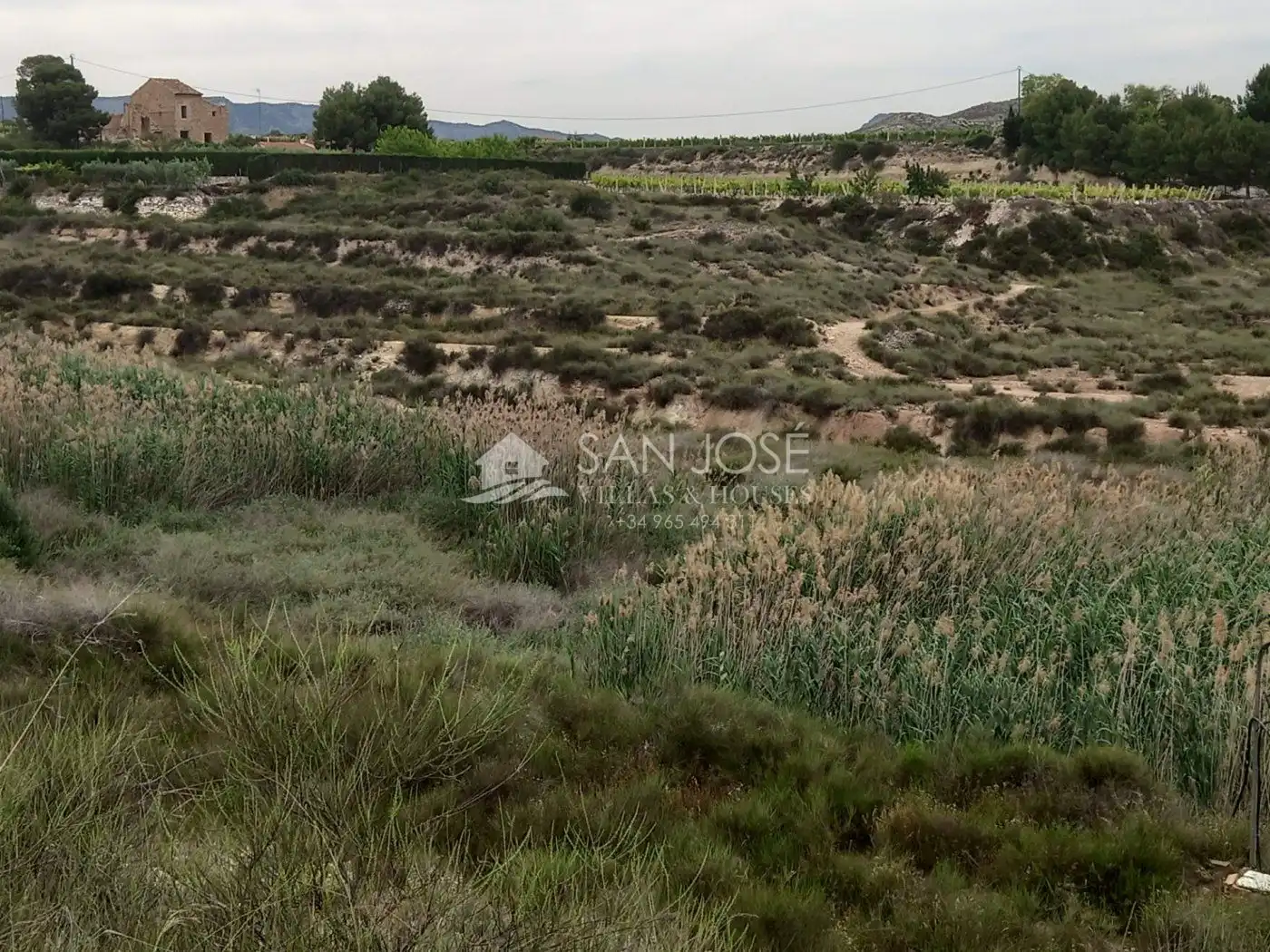 Rural land for sale in Novelda, imagen 2