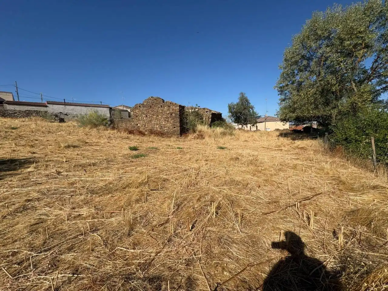 Residential for sale in Saelices el Chico