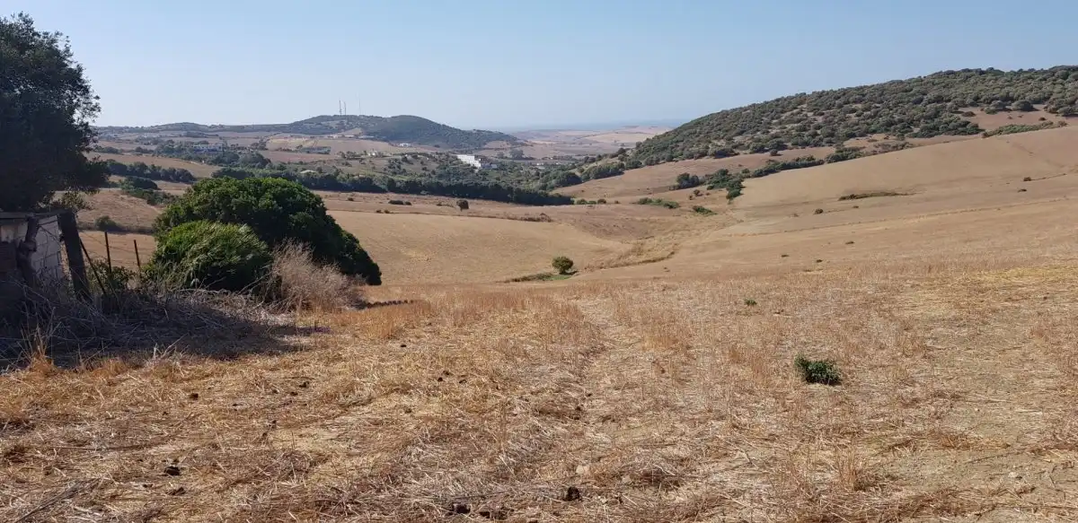 Terreny rústic en venda a Vejer, imagen 4