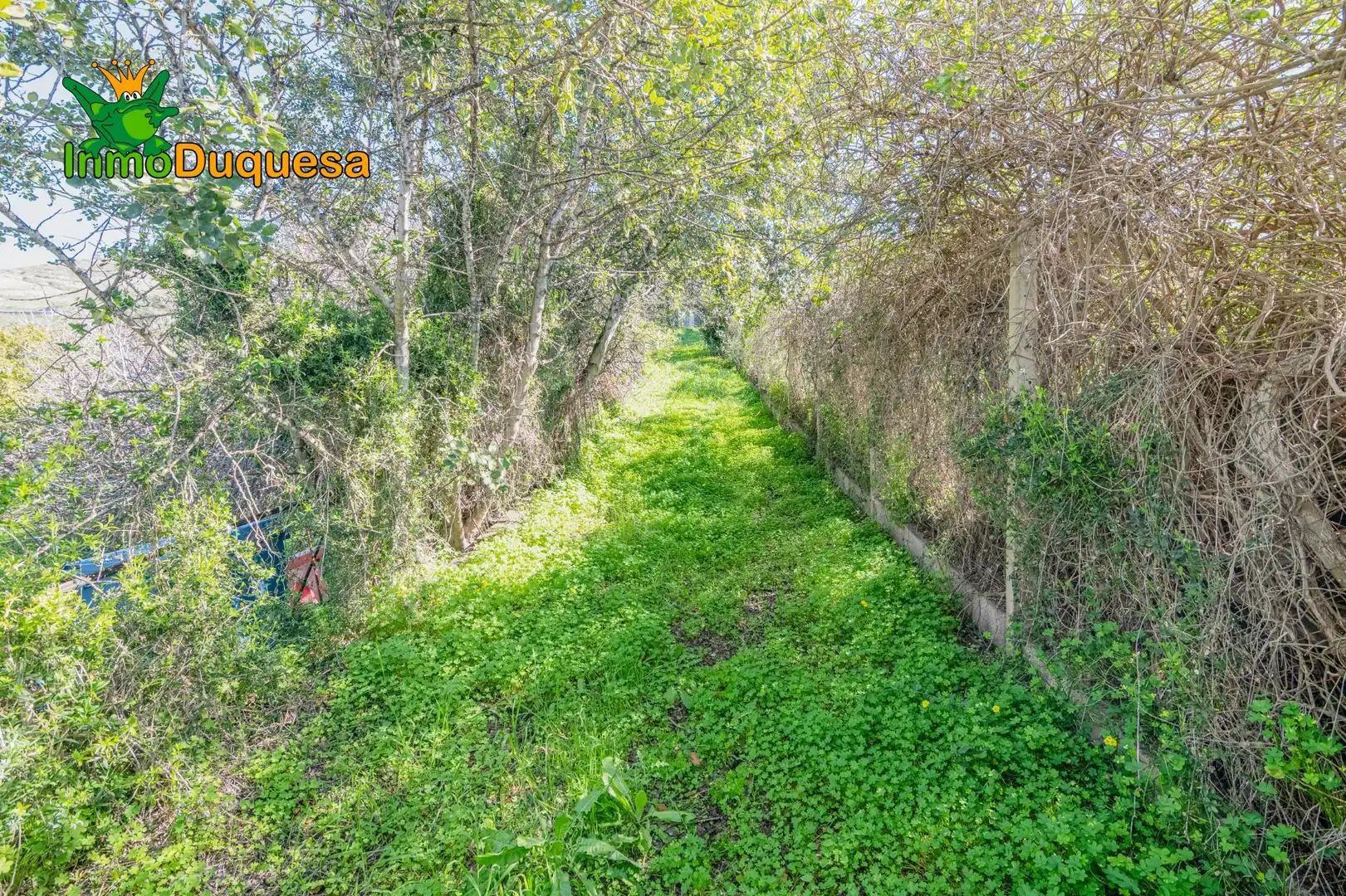 Detached house with pool for sale in Los Tablones - La Garnatilla, imagen 68