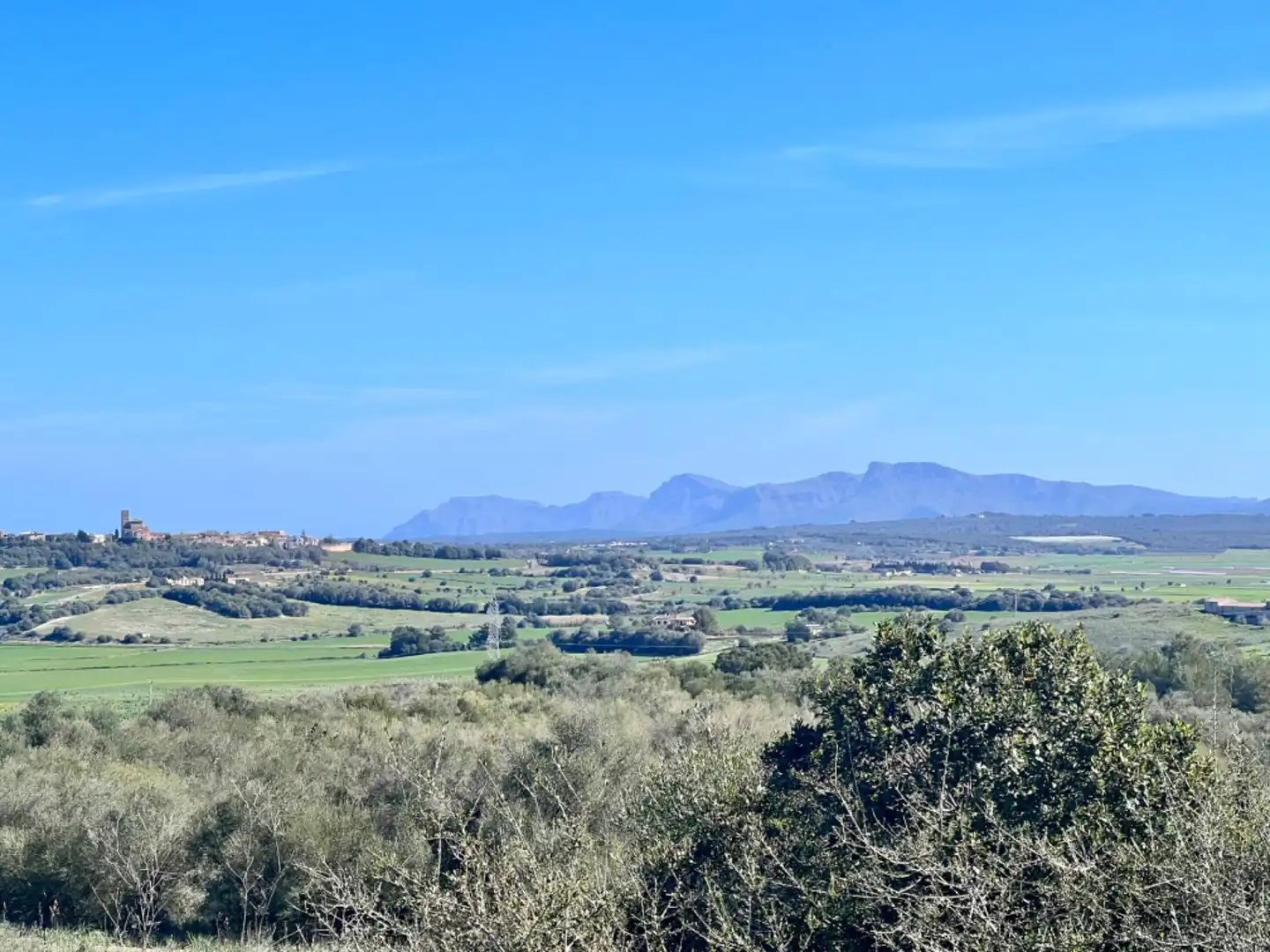 Finca rústica en venta en Petra