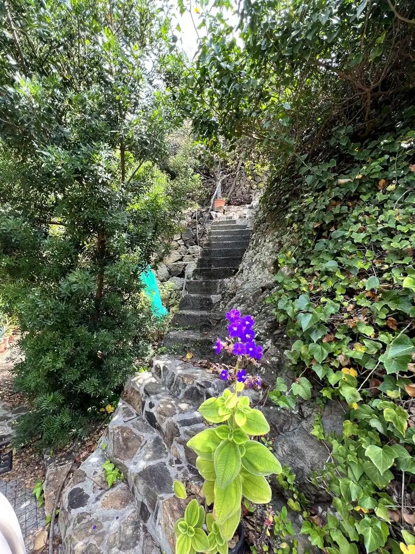 Vista exterior de Finca rústica en venta en Vallehermoso con Aire acondicionado, Calefacción y Jardín privado