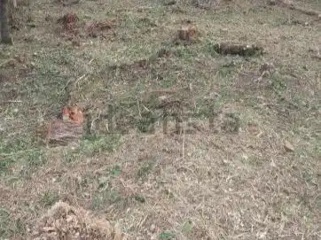 Terreno residencial en venta en Avenida de la Mare de Déu de Lourdes 584, imagen 2
