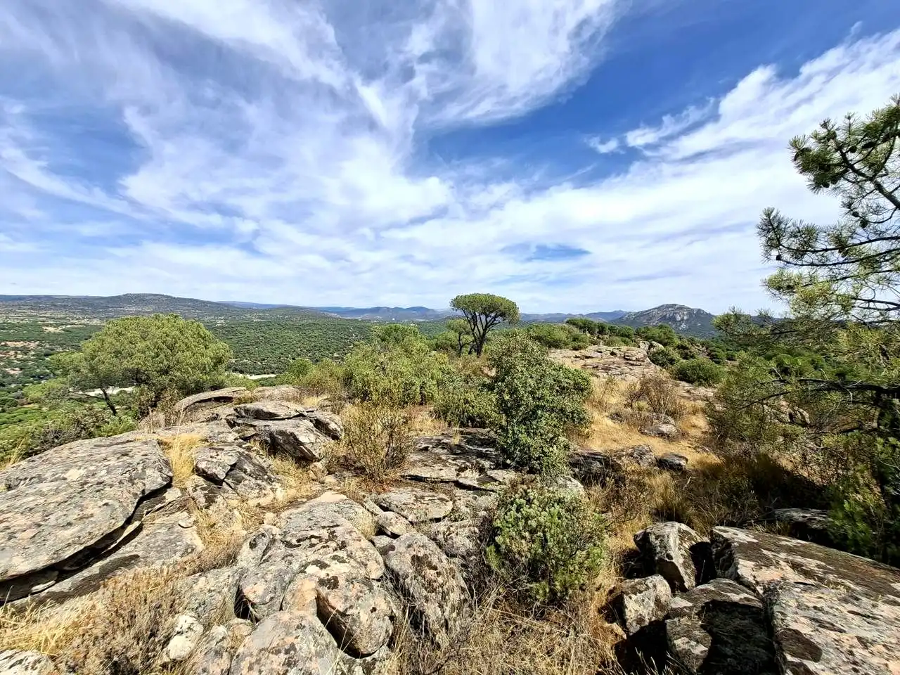Terreny rústic en venda a Navahoncil, imagen 5