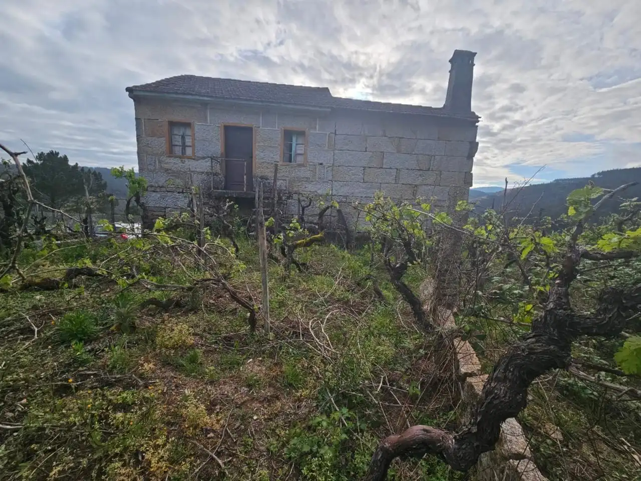 Houses for sale in Toén