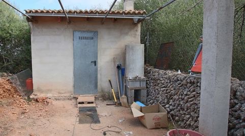 Finca rústica con pequeña caseta, immagine 3