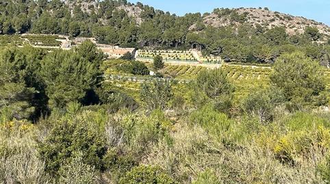 Foto 5 de Terreny en venda a N/a, -1, Tavernes de la Valldigna, Valencia