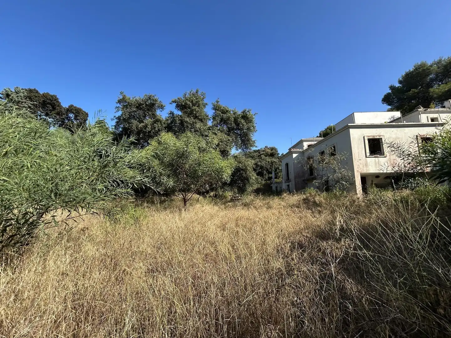 Terreni e lotti in vendita a Sotogrande Alto, imagen 3