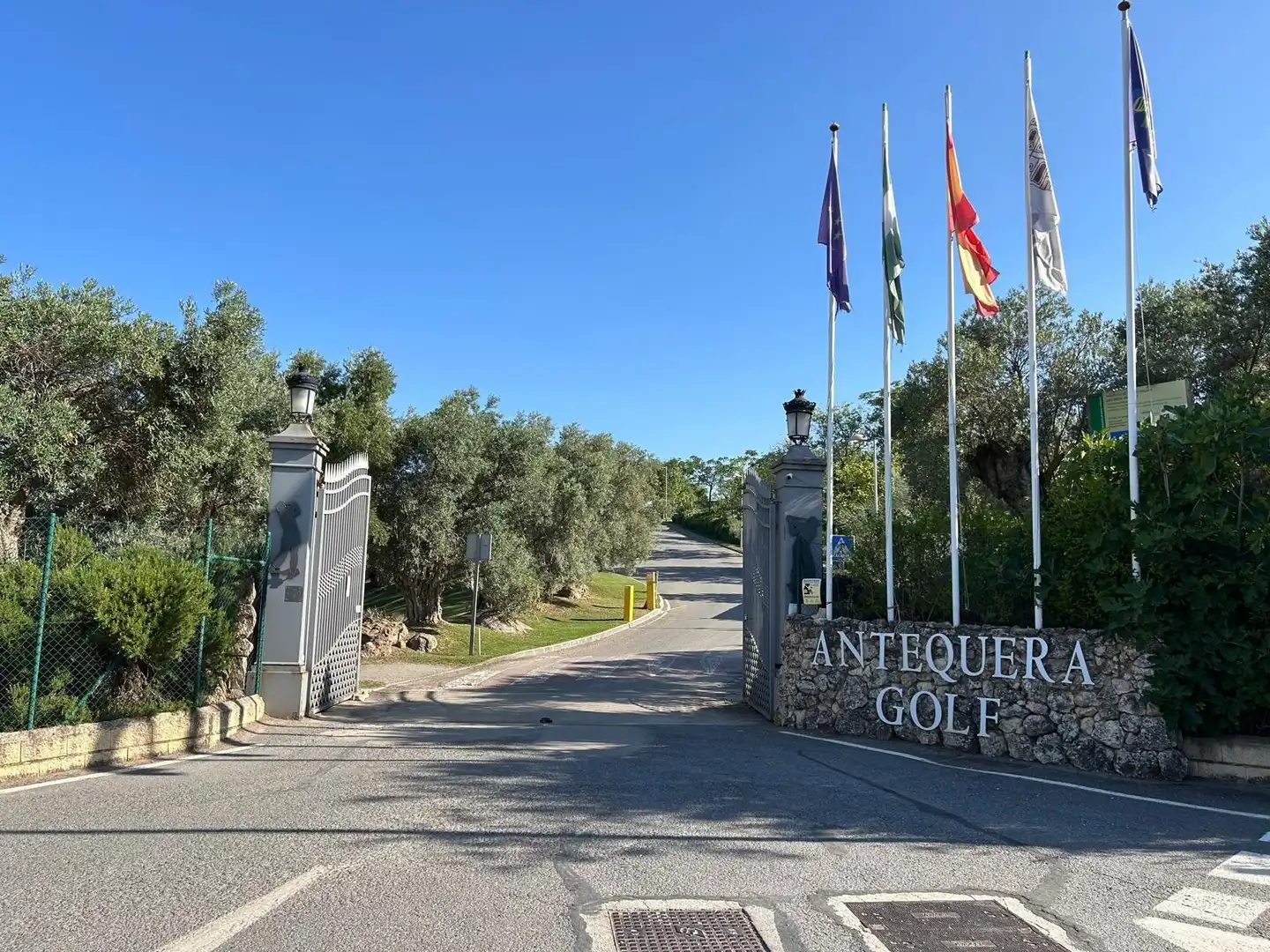 Lands and plots for sale in Centro