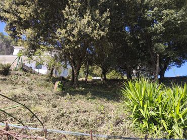 Terreno residenziale in vendita a Segona Avinguda 79