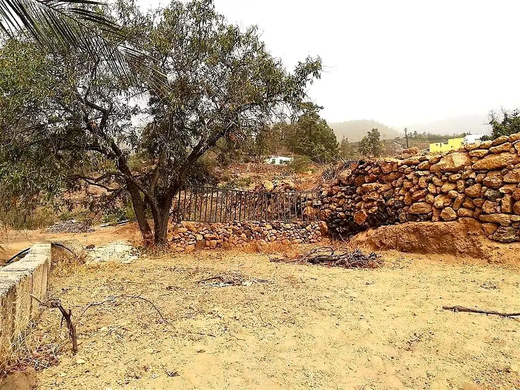 Finca rústica en venta en Granadilla de Abona