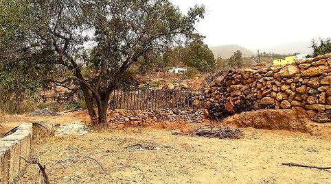 Foto 5 de Finca rústica en venda a Calle Canales Altas, Cruz de Tea, Granadilla de Abona