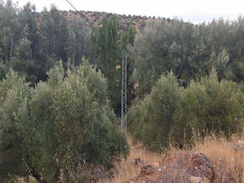 Land for sale in Sabiote