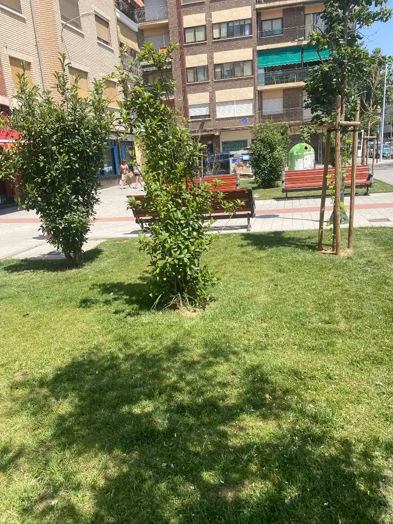 Garden of Commercial properties for sale in Albacete