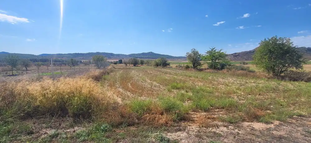 Casa o xalet en venda en Caudete, Albacete
