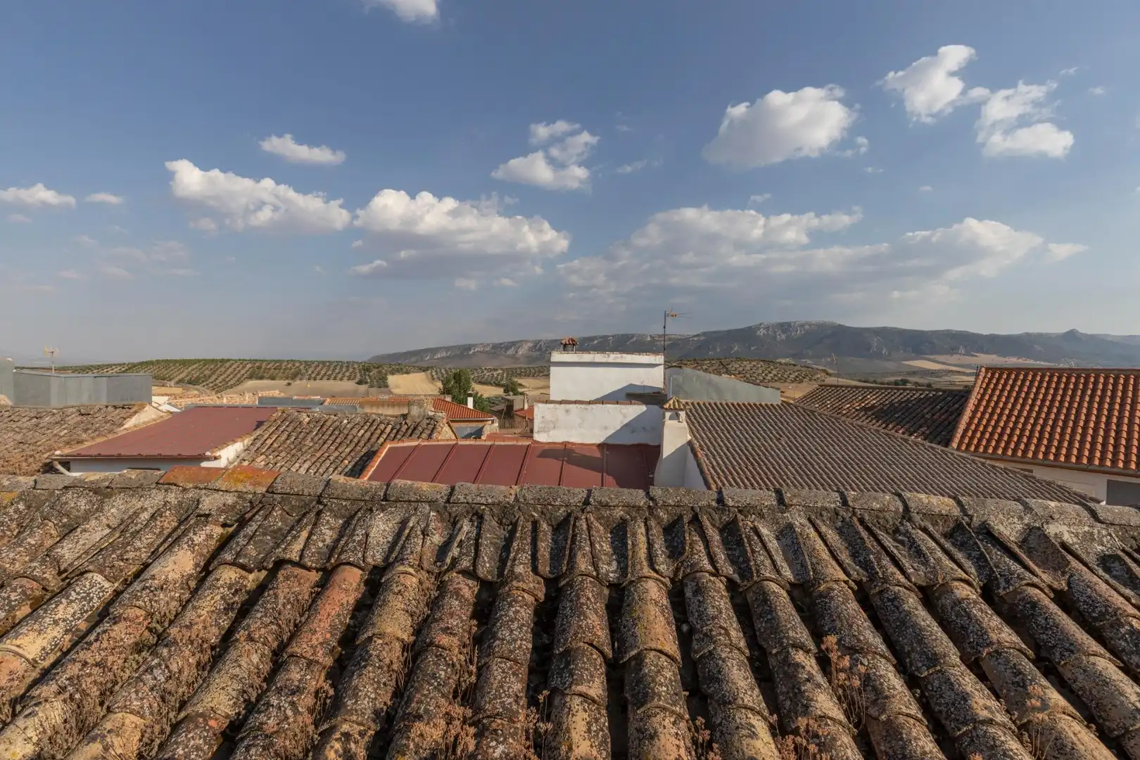 Vista exterior de Casa o xalet en venda en Morelábor amb Terrassa i Alarma