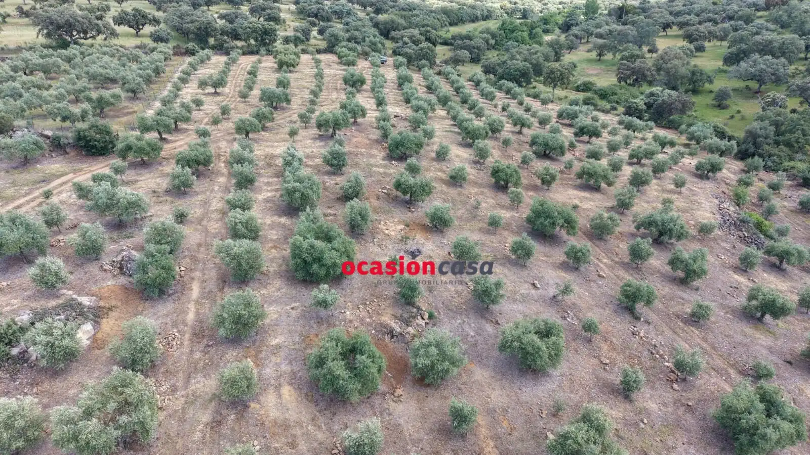 Residential land for sale in Fuente Obejuna, imagen 7