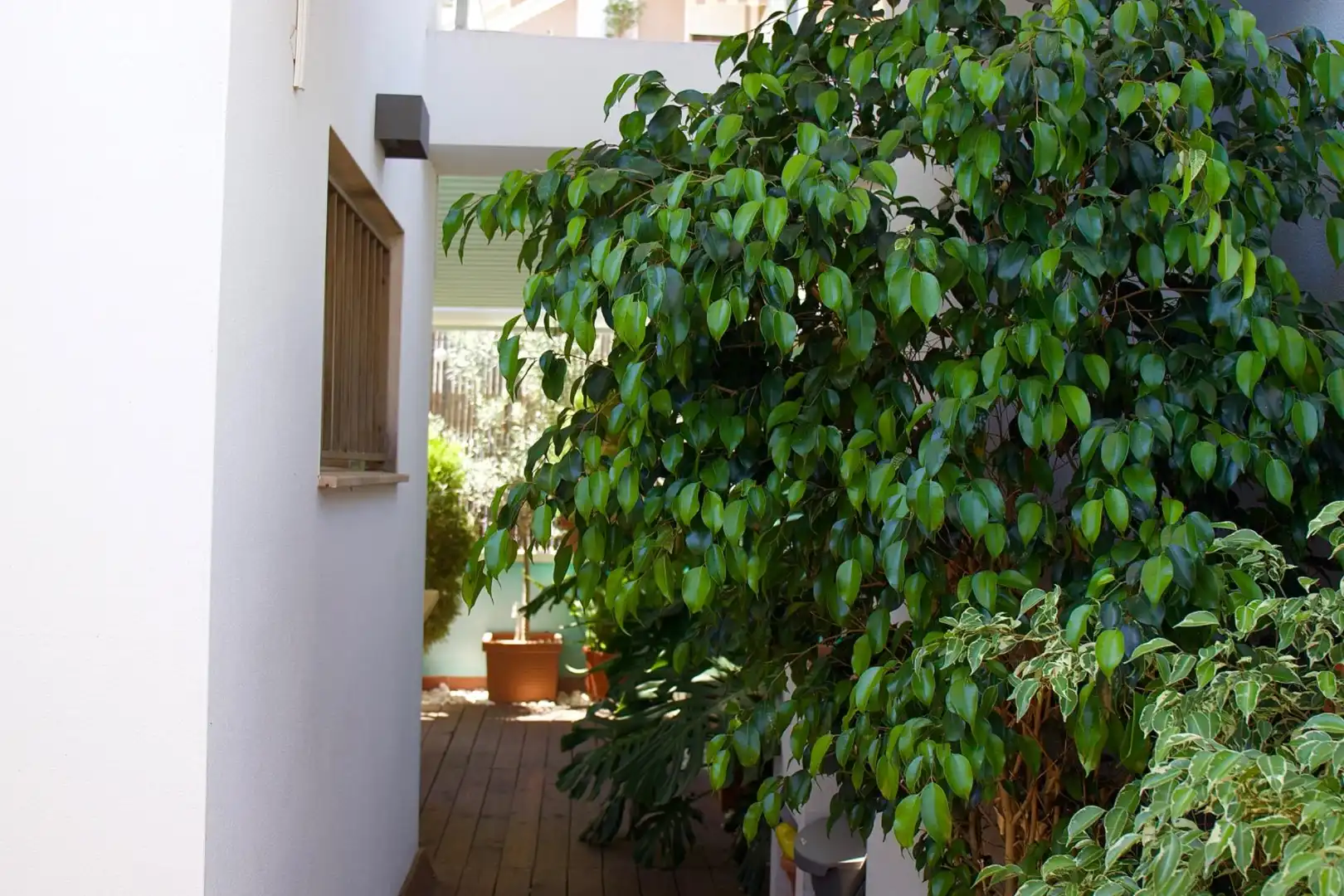 Reihenhaus mit Terrasse zum Verkauf in PROSPER DE BOFARULL 17, imagen 15