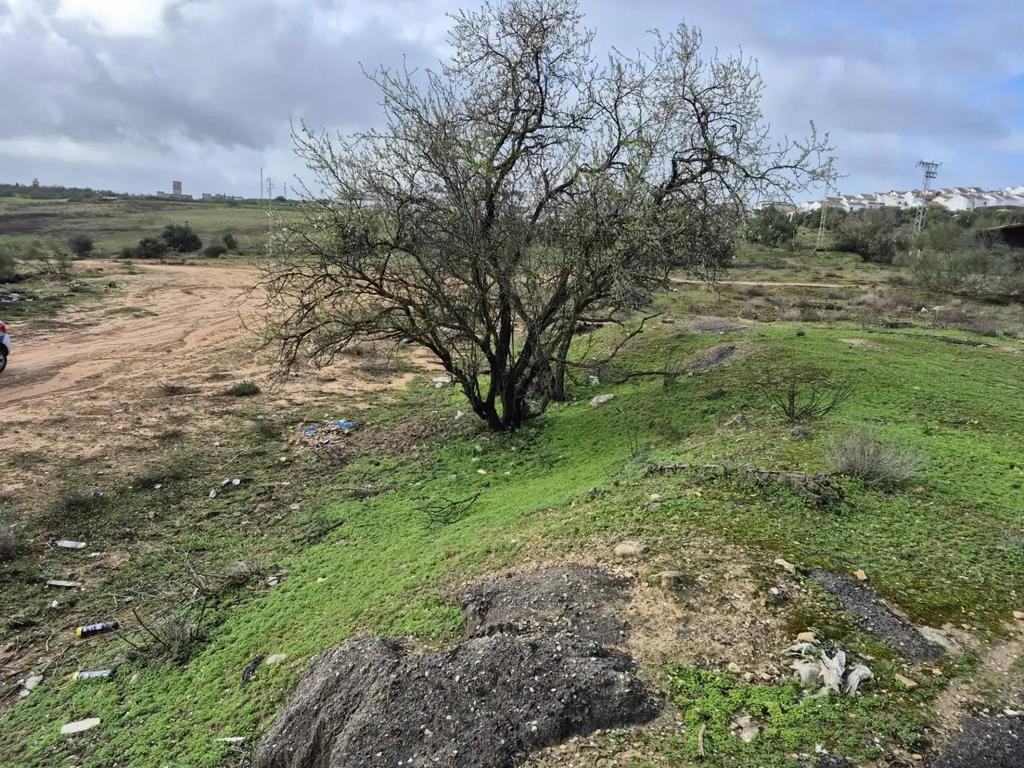 Terreny rústic en venda a Arcos de la Frontera, imagen 4