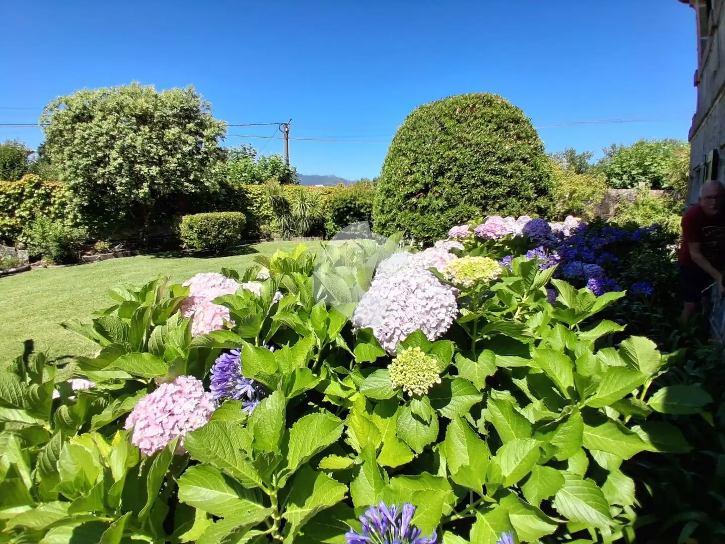 Garden of Houses for sale in Nigrán  with Private garden