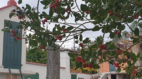 Photo 2 of House or chalet to rent in Teo, A Coruña