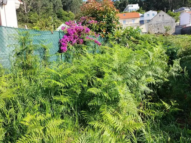 Residential land for sale in FREIXEIRO-DORRON Suelo Polígono 55 Parcela, imagen 14