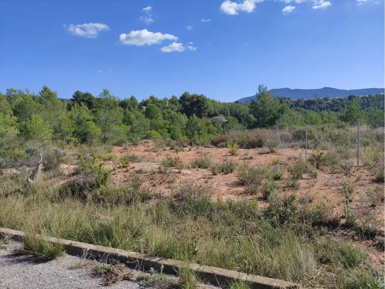 Rural land for sale in Calle Zamora