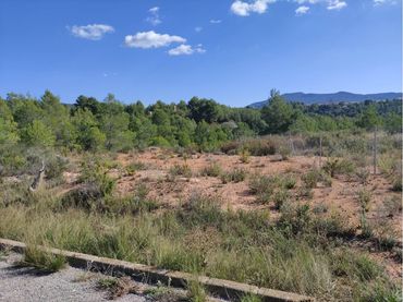 Terreno rustico in vendita a Calle Zamora
