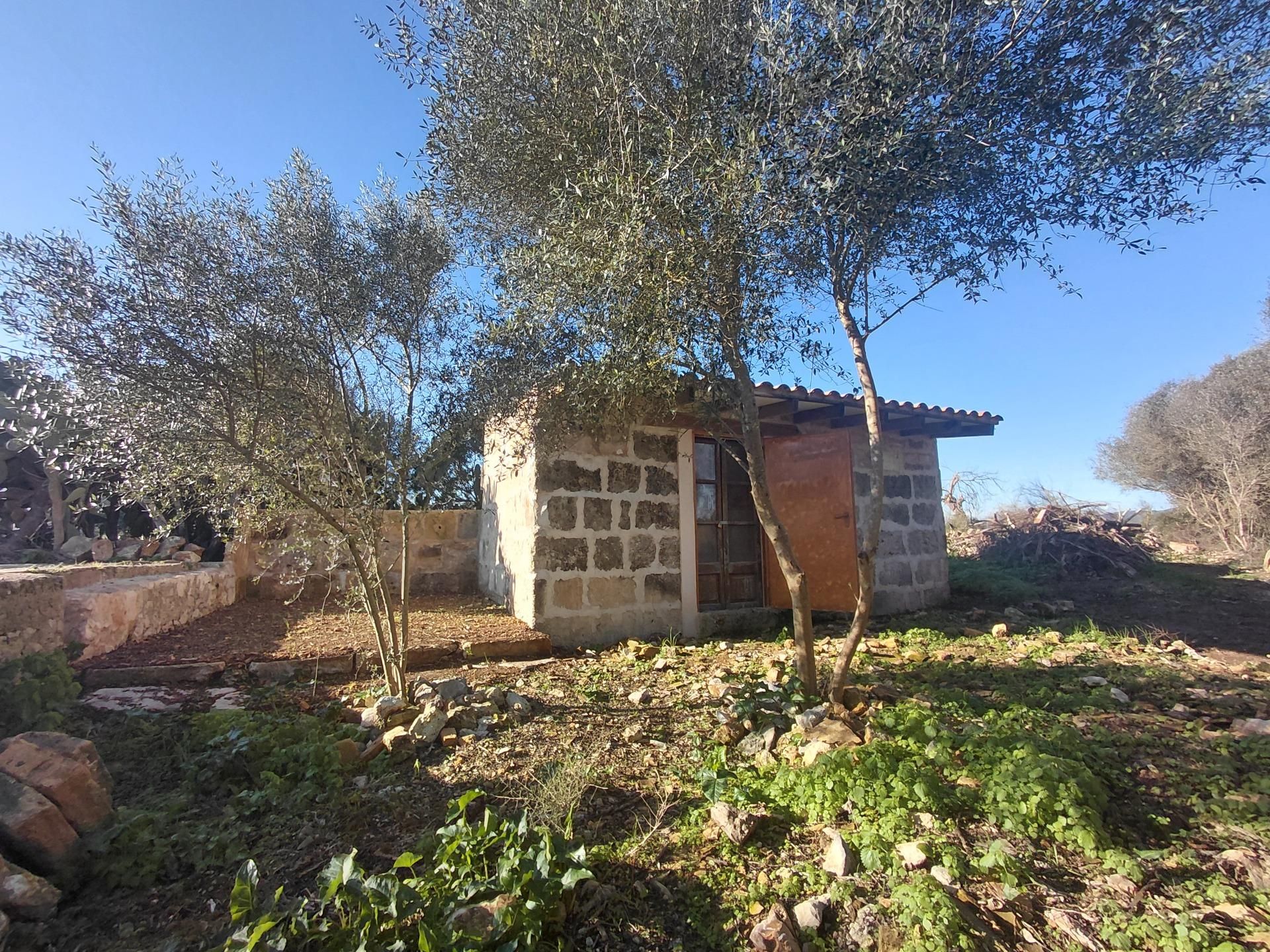 Finca rústica en venta en  Polígono Diez, Manacor Centre
