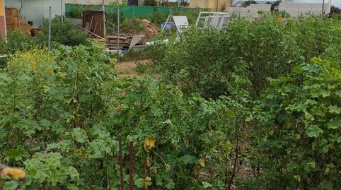 Foto 4 de Terreno en venta en Torre de la Reina, Guillena