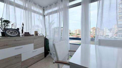 Foto 4 de Apartament de lloguer a Playa Poniente, Benidorm
