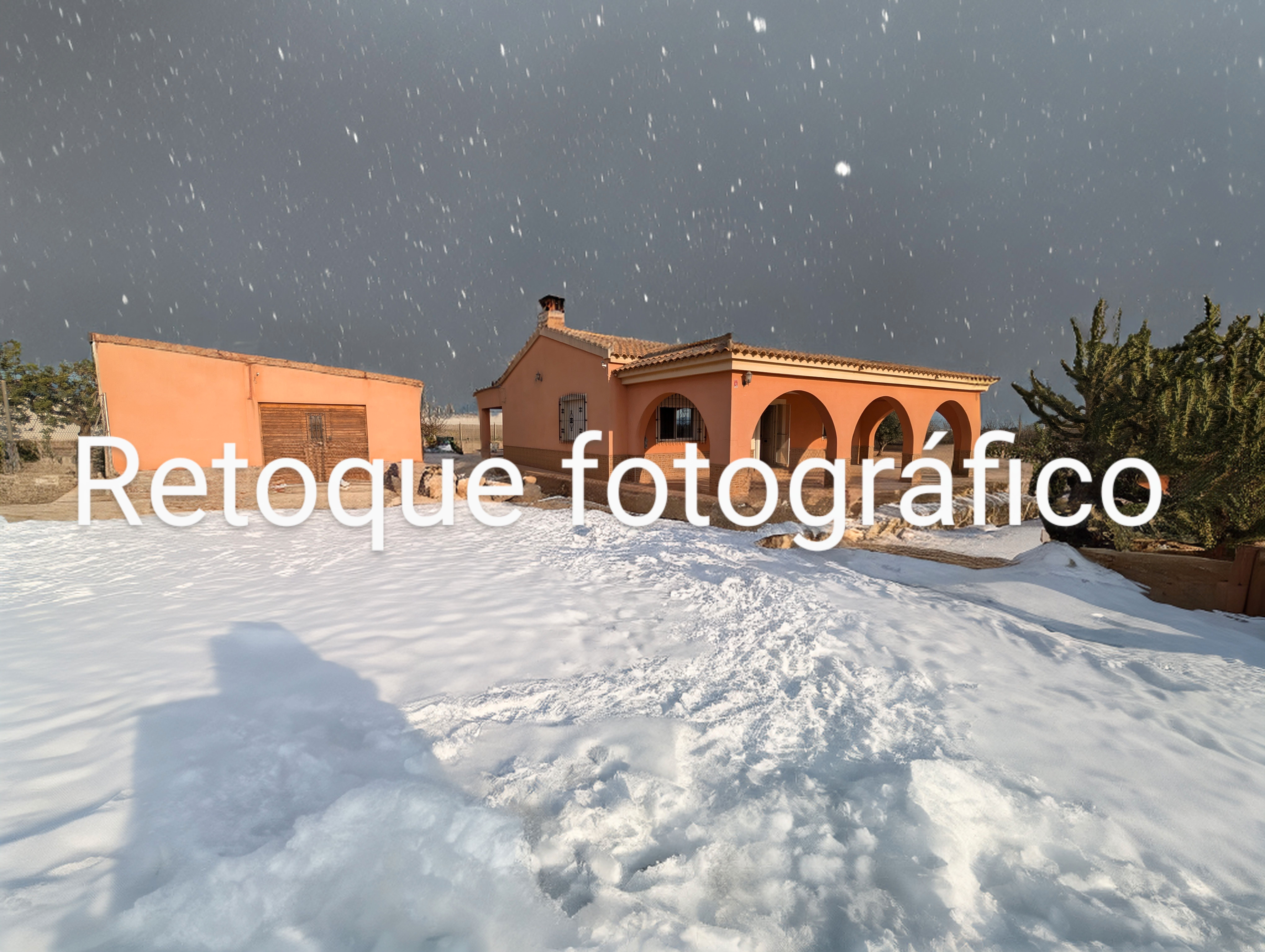 Exterior view of House or chalet for sale in Fuente Álamo de Murcia  with Private garden and Swimming Pool