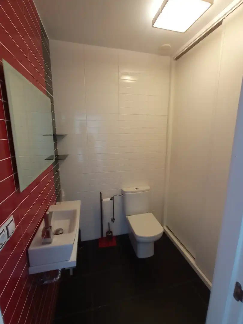 Duplex con ascensore in affitto a Centro - Recinto Amurallado, imagen 13