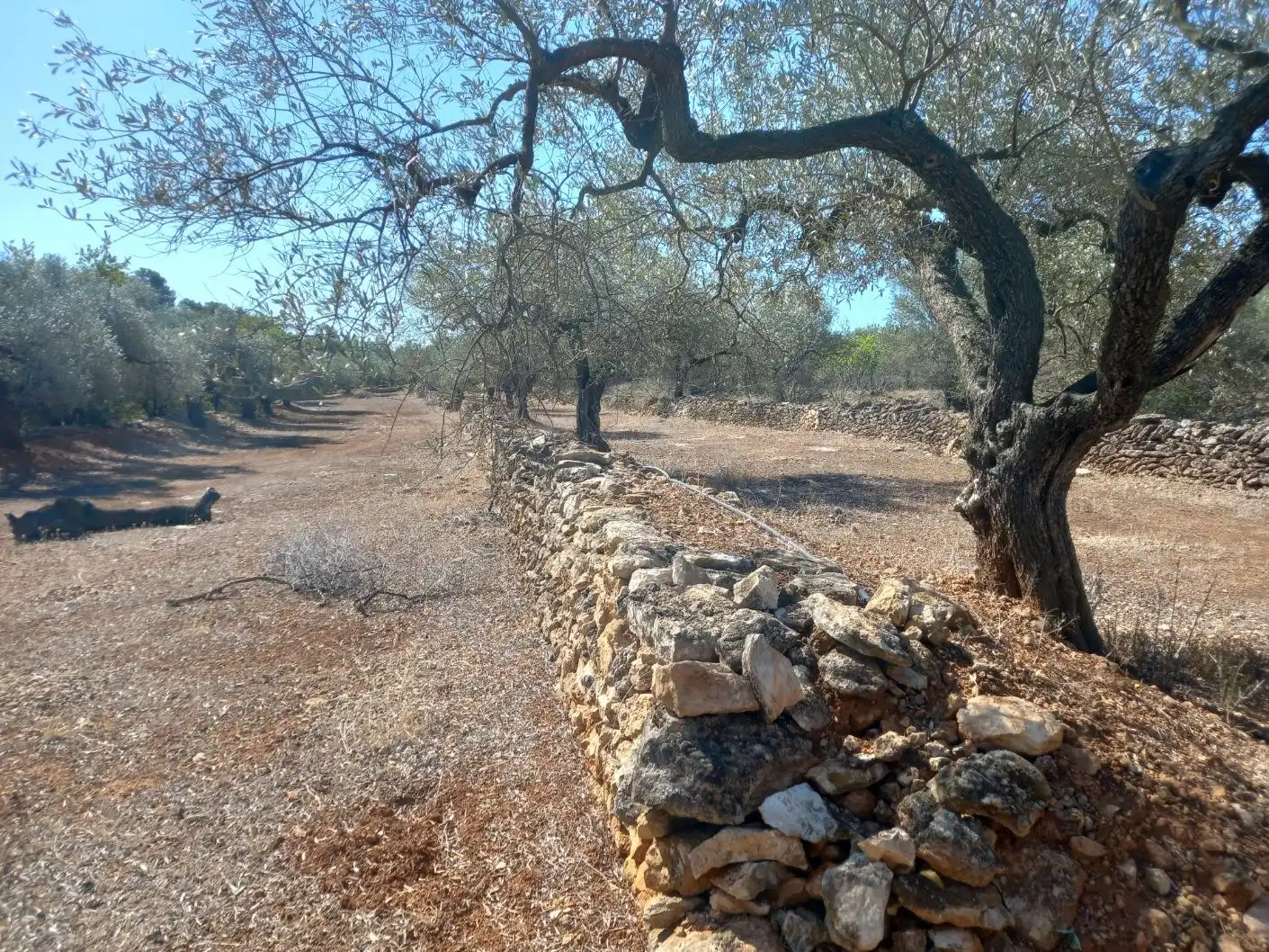 Terrain rustique à vendre à Rasquera, imagen 15