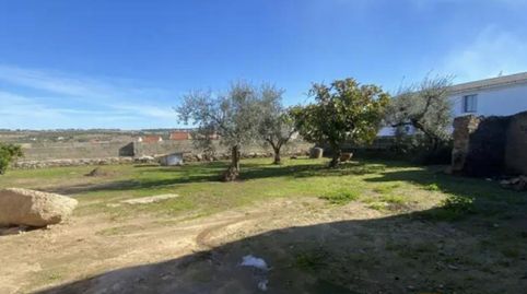 Foto 4 de Finca rústica en venta en Escurial, Cáceres