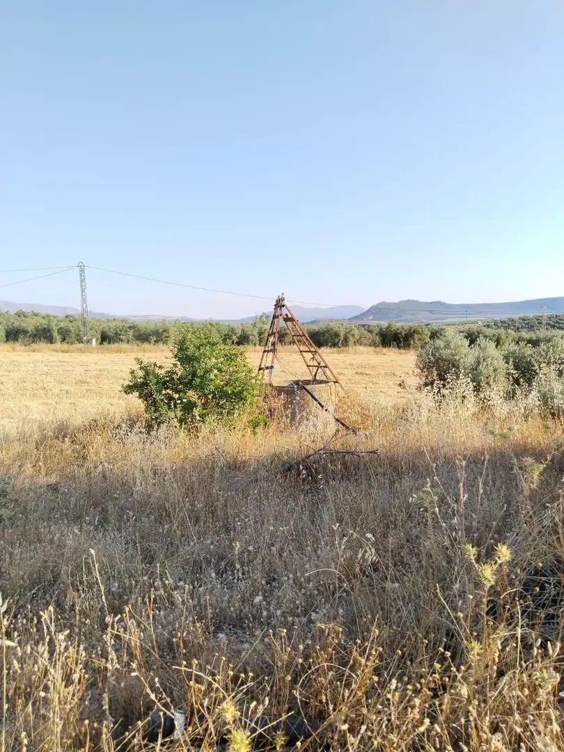 Terreni e lotti in vendita a Mollina, imagen 14
