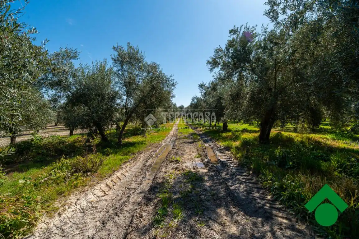 Finca rústica en venta en Chauchina