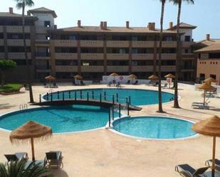 Swimming pool of Apartment to rent in Adeje  with Terrace