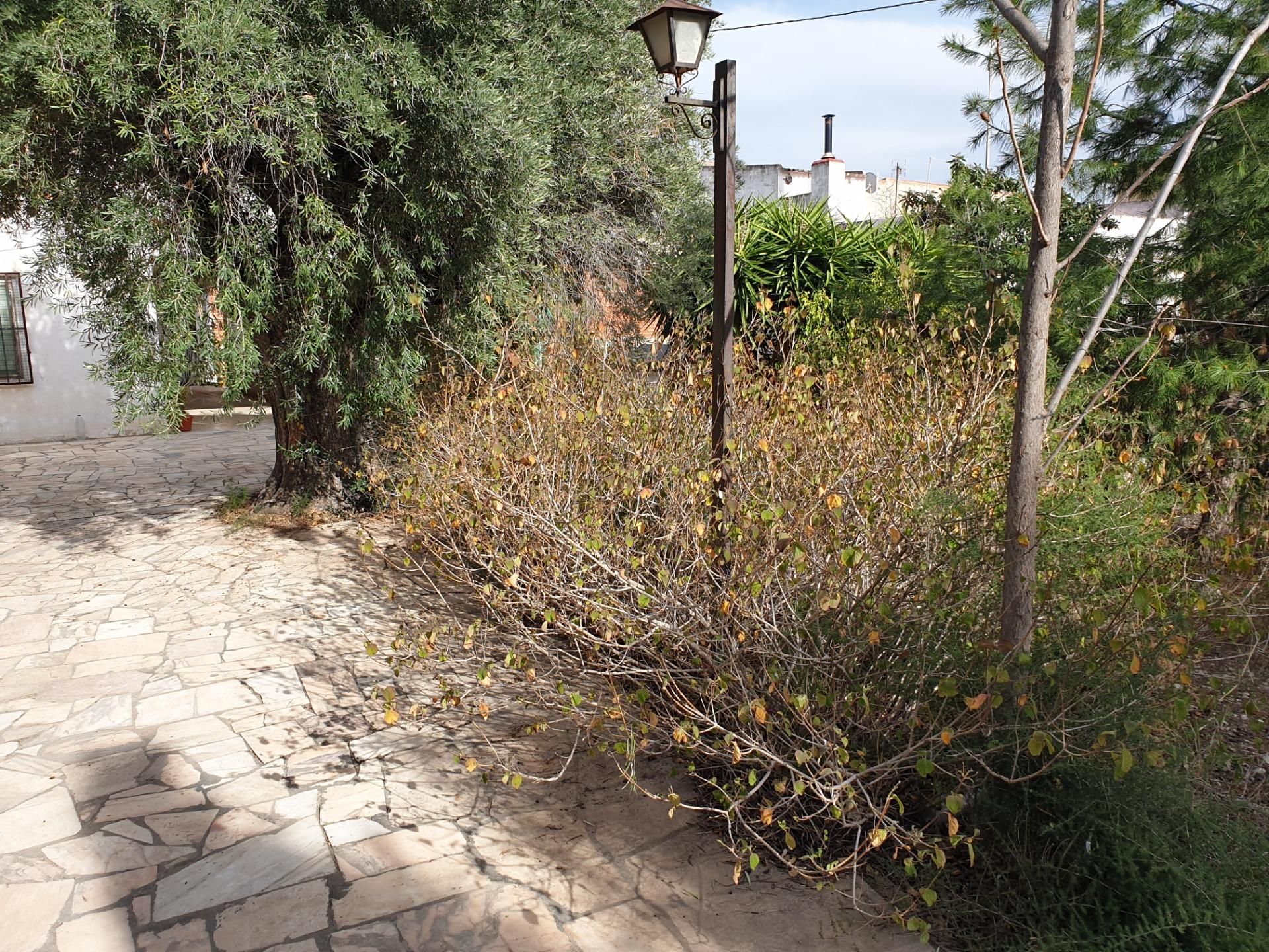 Casa o xalet en venda en Petrer amb Jardí privat