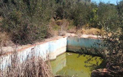 Swimming pool of Land for sale in Alcalà de Xivert