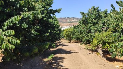 Photo 2 of Country homes for sale in Almuñecar Centro, Almuñécar