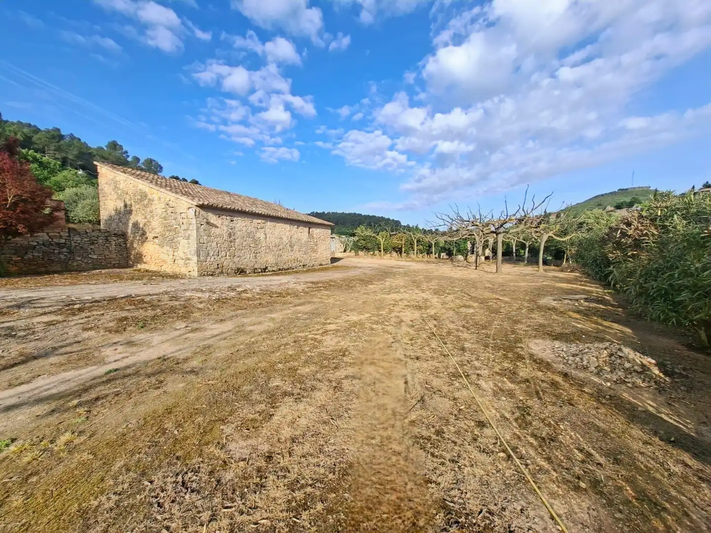 Terreno rústico en venta en Vallbona de Les Monges, imagen 13