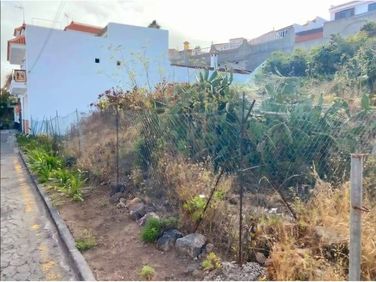 Rural land for sale in Calle Senecio, imagen 3