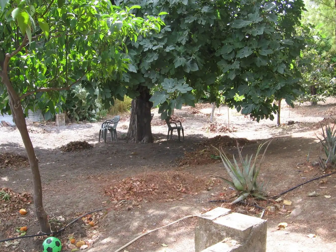 Garden of Country homes for sale in Guadalcázar  with Heating, Private garden and Storage room